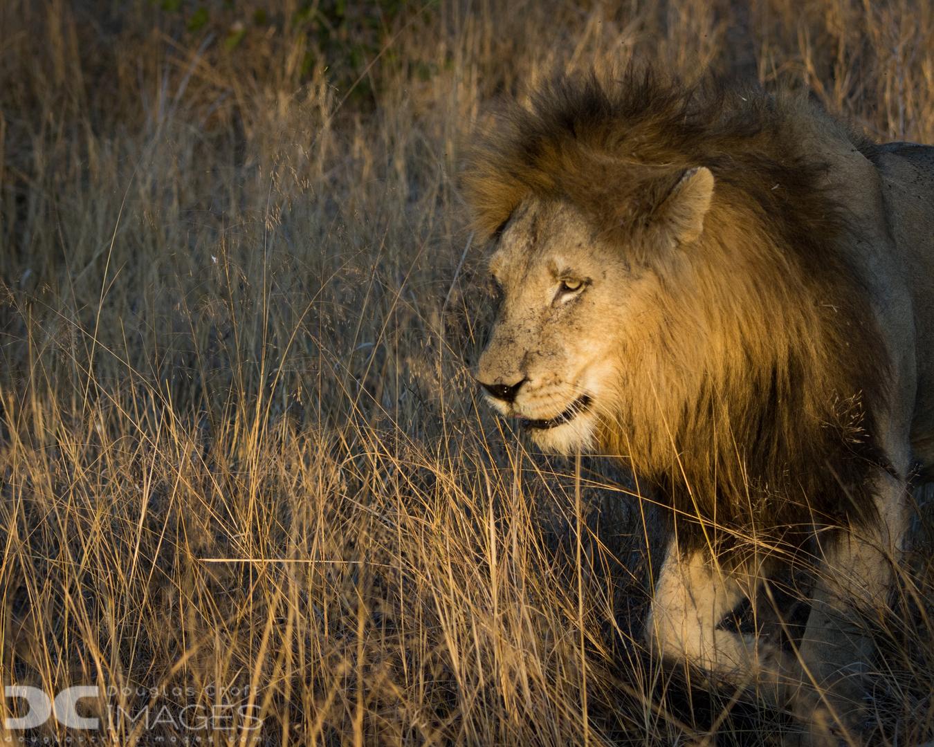 PlaceholderImage1302